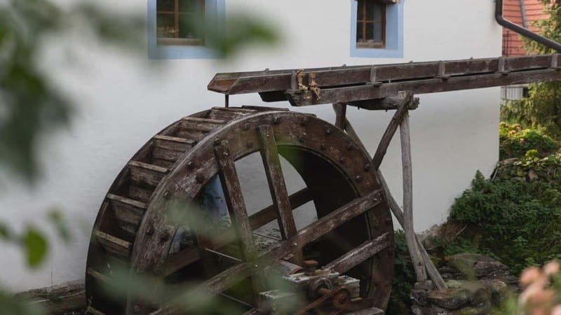 Carpathian Wine tasting tour + Red Stone Castle (Bratislava) - Vína z Mlyna puts wine in an old watermill