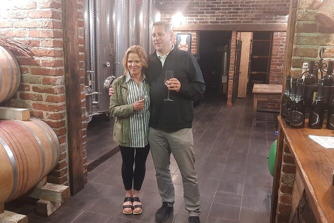 Castle & Wine Tasting - Private Day Trip from Zagreb - Why this Zagreb day trip works
