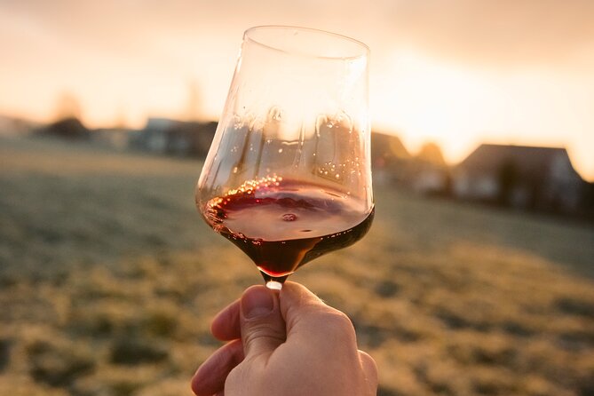 Castle & Wine Tasting - Private Day Trip from Zagreb - Who should book this experience