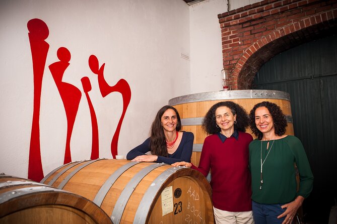 Castle Winery Tour & Tasting near Lake Maggiore - Key points to know before you go