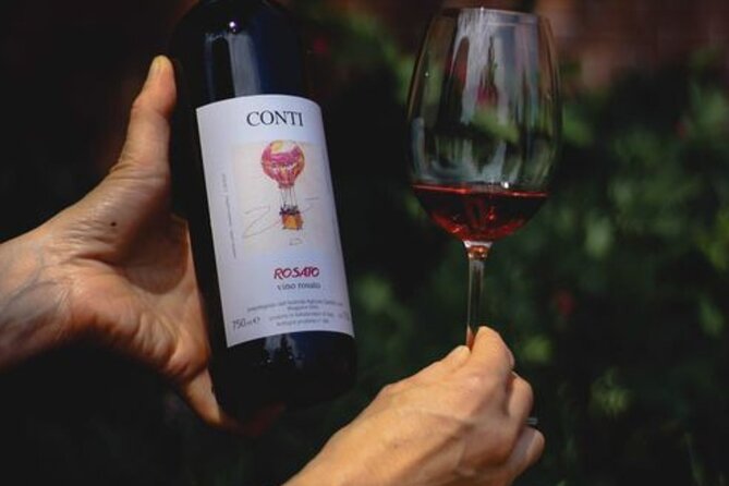 Castle Winery Tour & Tasting near Lake Maggiore - Starting with the Conti family story