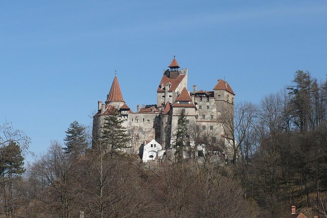 Castles Private Tour Peles - Bran - Rasnov from Brasov - Who Should Book This Castle Tour?