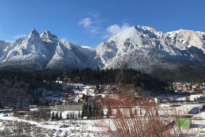 Castles Tours from Brasov - Peles Castle: the day’s grandest interior
