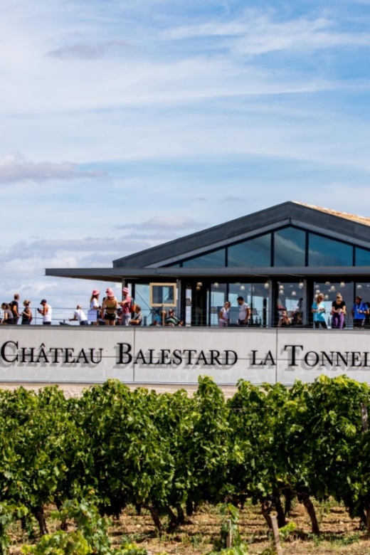 Château Balestard La Tonnelle : The "Origins" tour - The limestone plateau and the vineyard setting