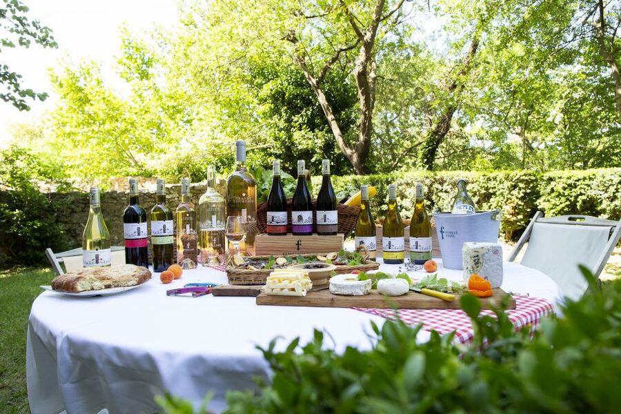 Château de Luc: Unique visit and wine tasting - Why Château de Luc is more than a wine tasting