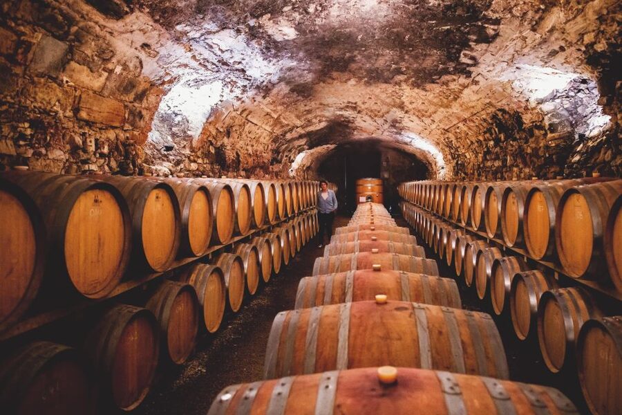 Château de Luc: Unique visit and wine tasting - The epic of the Midi wine region