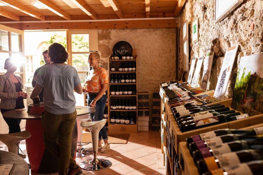 Château de Luc: Unique visit and wine tasting - Languages, timing, and practical details