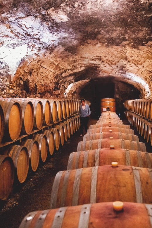 Château de Luc: Unique visit and wine tasting - Should you book Château de Luc?