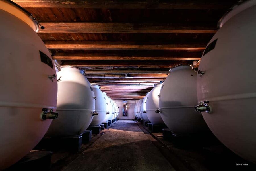 Château de Terride: tour of the wine cellar & wine tasting - Why Château de Terride makes a good wine-country stop