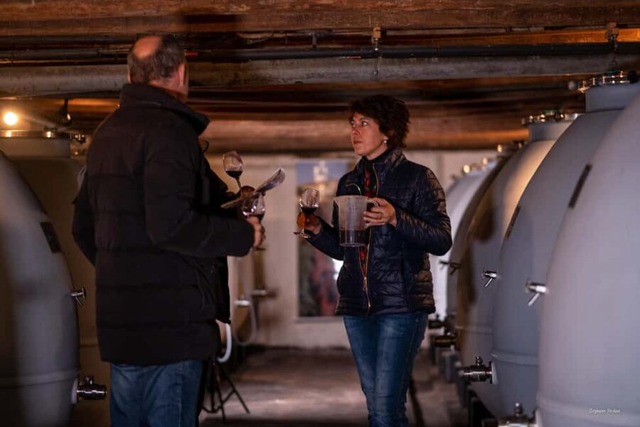Château de Terride: tour of the wine cellar & wine tasting - Following the grape through 30 minutes in the cellar