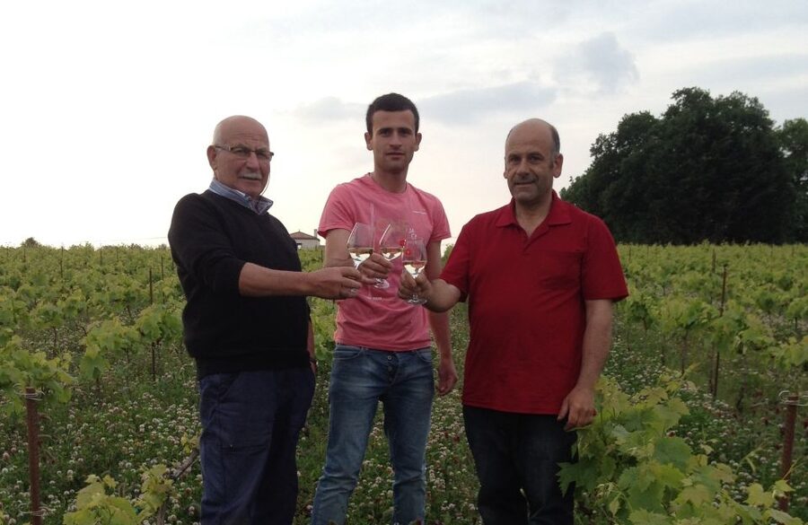 Château du Bois-Huaut: Cellar Tour and Wine Tasting Class - Key points at Château du Bois-Huaut