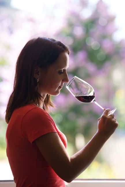 Château Olivier: One Hour Vineyard Tour with Wine Tasting - What the One-Hour Schedule Means