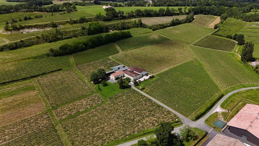 Château Petit Mangot's aperitif: charcuterie, cheeses, and wines - Key points at a glance