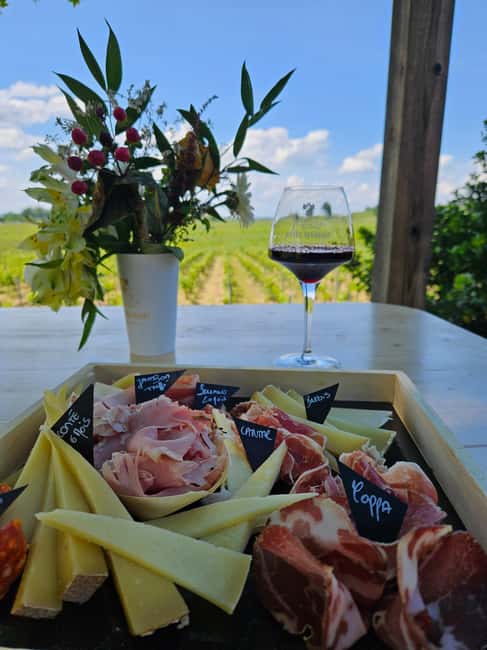 Château Petit Mangot's aperitif: charcuterie, cheeses, and wines - Walking through the Décamps family vineyard