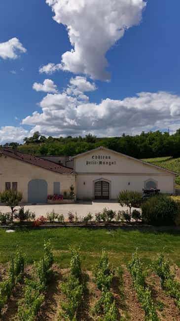Château Petit Mangot's aperitif: charcuterie, cheeses, and wines - Cheese, charcuterie, and the French aperitif tradition