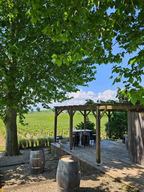 Château Petit Mangot's aperitif: charcuterie, cheeses, and wines - Seeing how red wine is made in the cellar