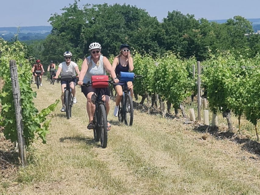 Chateaux de la Loire cycling ! - Cheverny, its gardens, and the wine country