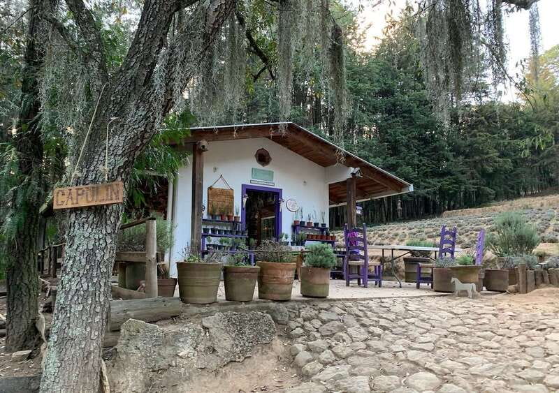 Chautla's Castle, Lavender Farm, and Valquirico Private Tour - Key points to know before booking