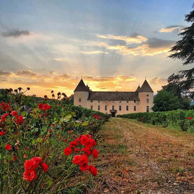 Check out the Château de Savigny museums: planes, cars, motorcycles... - Burgundy wine in the Petit-Château