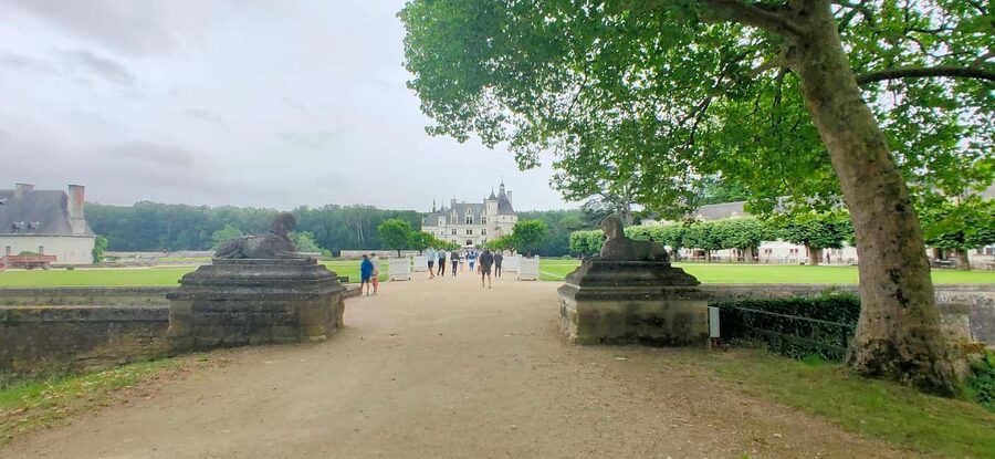 Chenonceau Castle: Private Guided Tour with Entry Ticket - Why Chenonceau feels different from other Loire castles