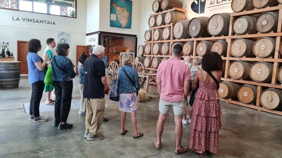Chianti and Castles Tour From San Gimignano - Five useful things to know before you go