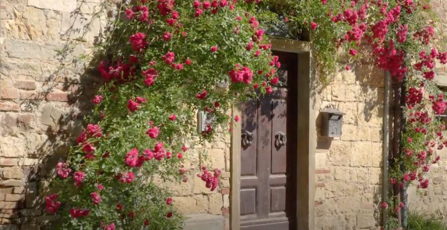 Chianti and Castles Tour From San Gimignano - What $100 buys you