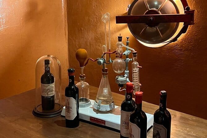 Chianti Winery + Brolio Castle Private Tour - Tenuta Le Lame in San Casciano