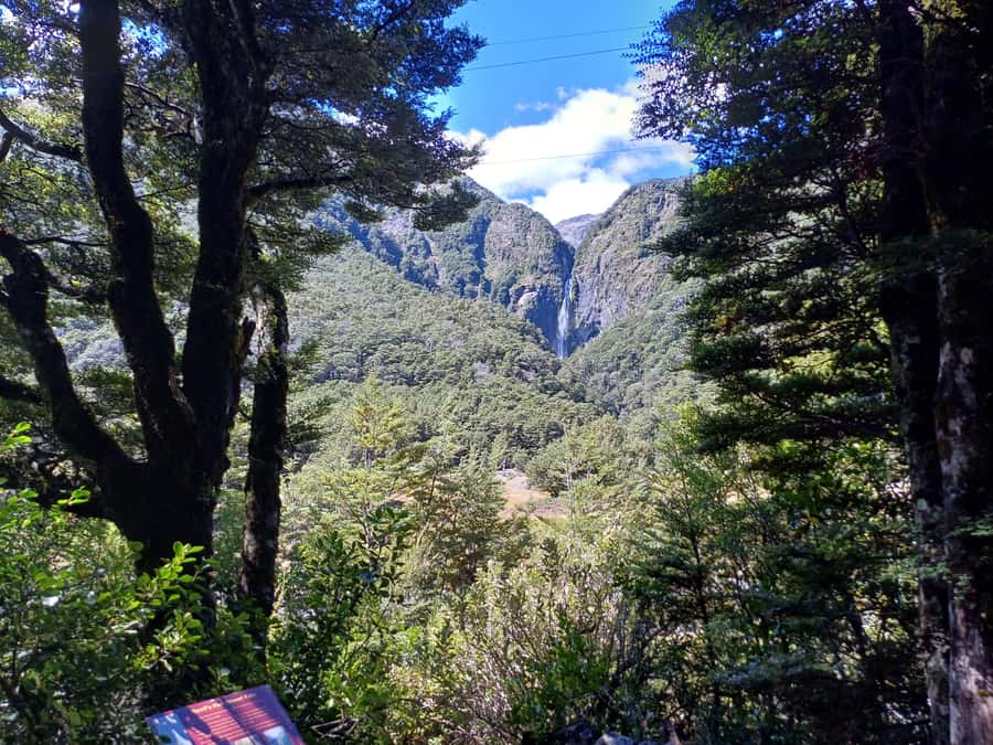 Christchurch: Arthur's Pass & Castle Hill Scenic Day Tour - Why this Christchurch day trip works