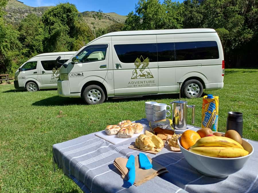 Christchurch: Arthur's Pass & Castle Hill Scenic Day Tour - Castle Hill reveals a different side of the South Island