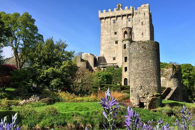 Cobh (Cork) to Blarney Castle & Kinsale - Shore Excursion - What the $95.53 price really buys you