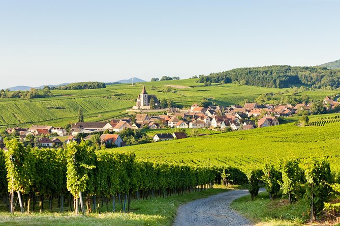 Colmar, Medieval Village & Castle Small Group from Strasbourg - The Alsace Wine Route, where the road becomes part of the tour