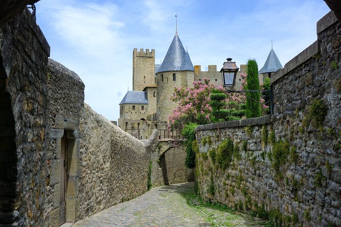 Complete Private Tour City and Castle of Carcassonne - Starting in Carcassonne Center for one hour