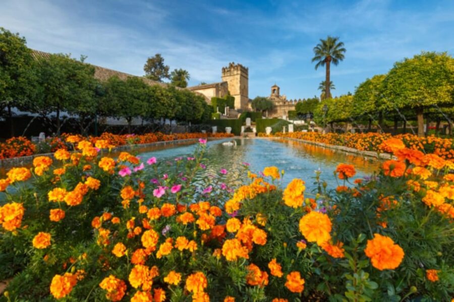 Cordoba: Alcazar of Christian Monarchs 1–Hour Guided Tour - Who will get the most from this tour?