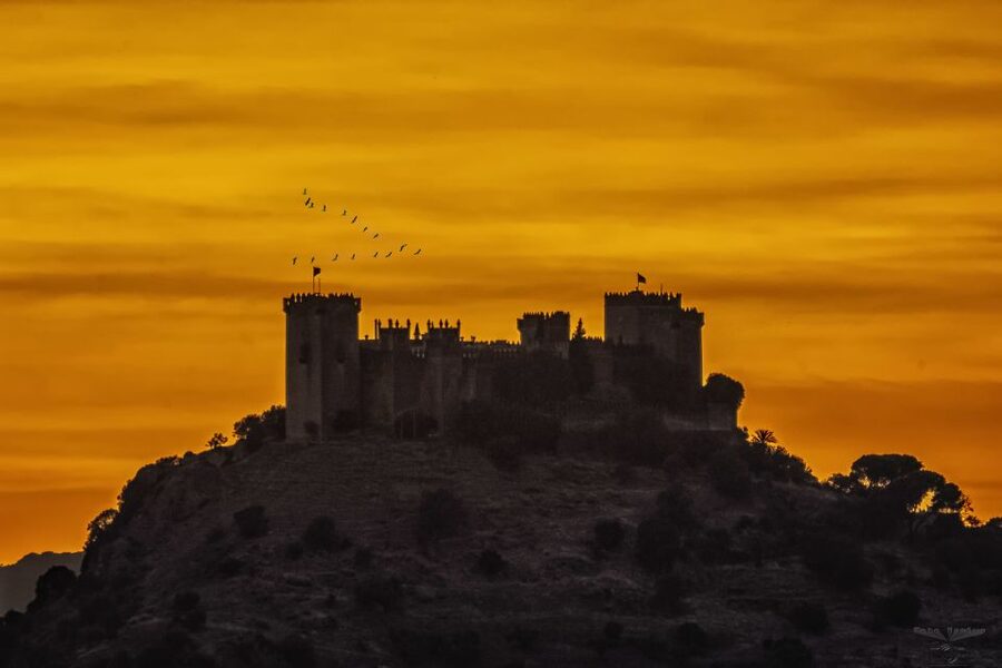 Córdoba: Almódovar Castle Entrance Ticket - Is the $11 ticket good value?