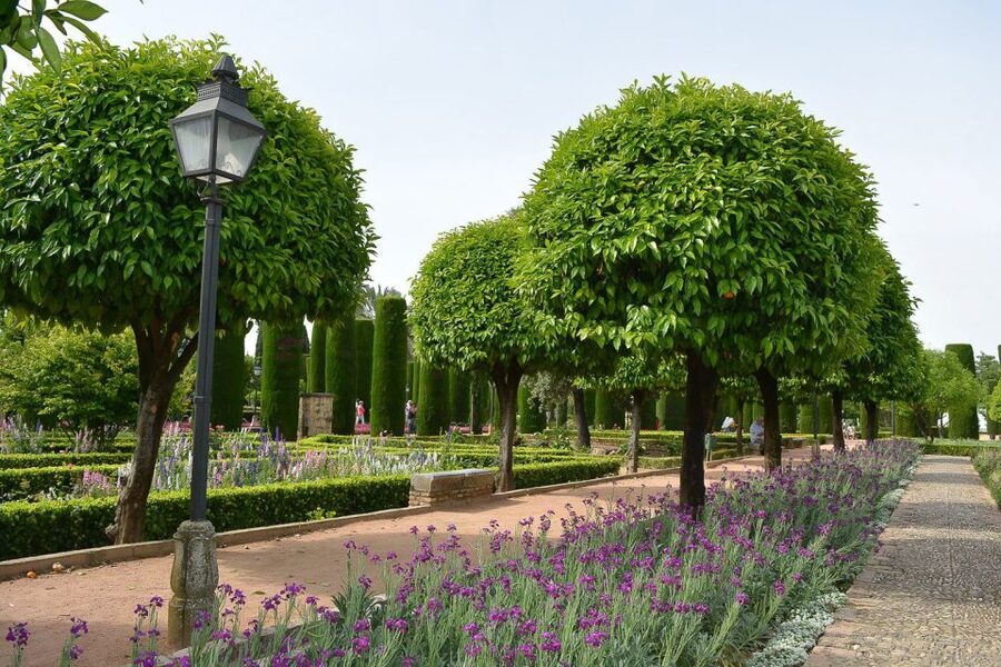Cordóba: Gardens & Fortress of Catholic Monarchs Guided Tour - Restoration Closures and Backup Plans