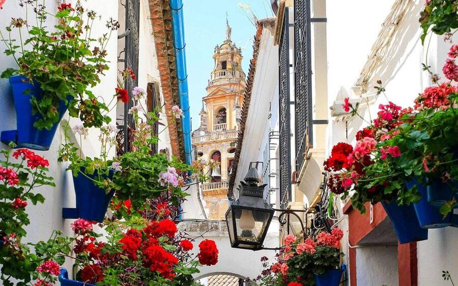 Córdoba: Mosque and Alcazar Private Tour with tickets - Walking through Córdoba’s old quarters