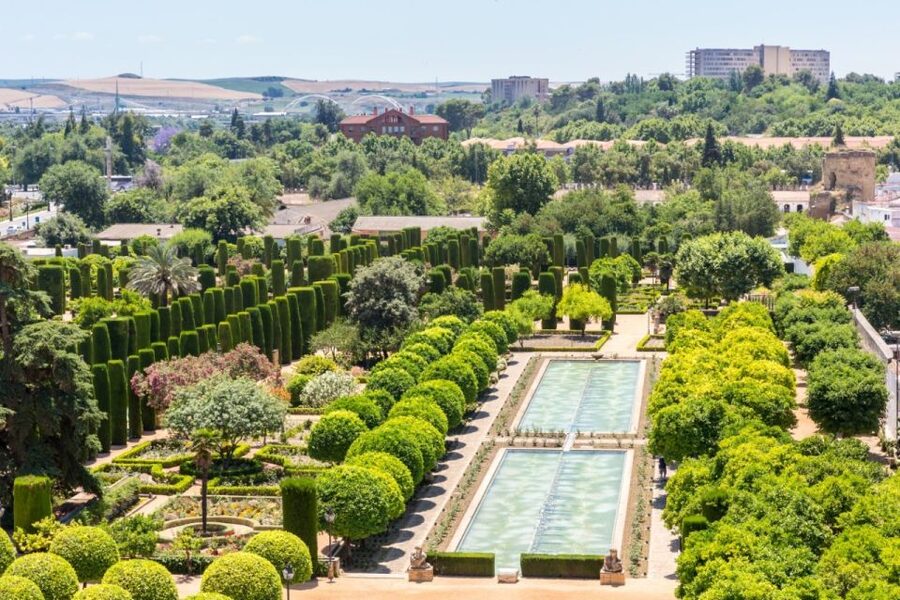 Córdoba: Mosque-Cathedral & Alcazar Guided Tour - What the guides add to the experience