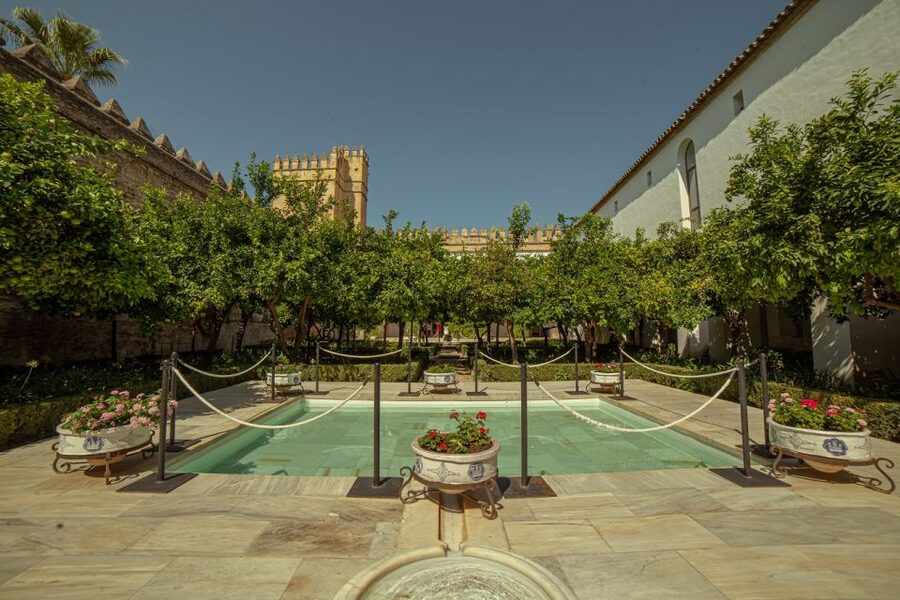 Córdoba: Mosque-Cathedral and Alcazar Tour - Is $52 a fair price?
