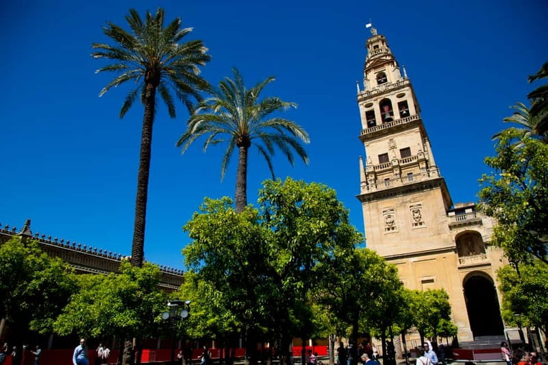 Córdoba: Mosque-Cathedral, Jewish Quarter and Alcázar Tour - Timing, pace, and practical comfort