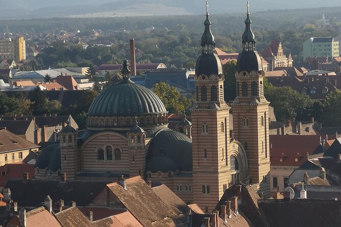 Corvin Castle & Sibiu - private tour from Brasov - What the private minivan adds
