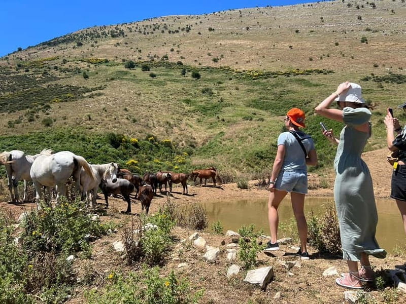 Daily Trip To:Blue Eye,Monastery,Gjirokaster&Lekursi Castle - Four strong reasons to consider this day trip