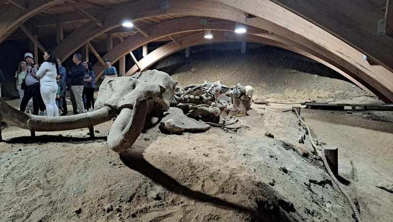 Danube fortresses and Roman archeological park - The Road Time and Small-Group Advantage