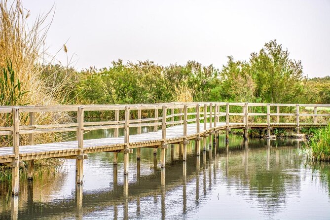 Day Tour Desert Castles & Azraq Wetland Reserve - Key points to know before you book