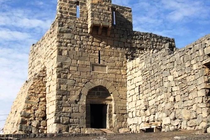 Day Tour Desert Castles & Azraq Wetland Reserve - Why this desert outing is worth your time