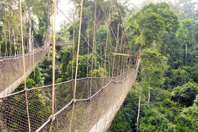 Day Tour to Kakum National Park, Cape Coast and Elmina Castles - The long road from Accra to Kakum