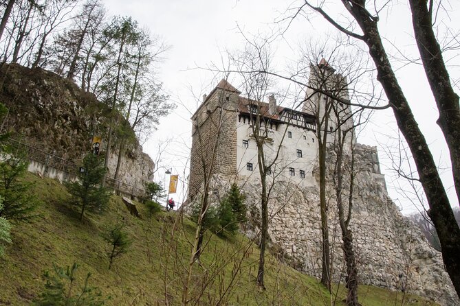 Day Trip Bear Sanctuary, Bran Castle, Rasnov Fortress from Brasov - Libearty Bear Sanctuary: the strongest stop for many visitors