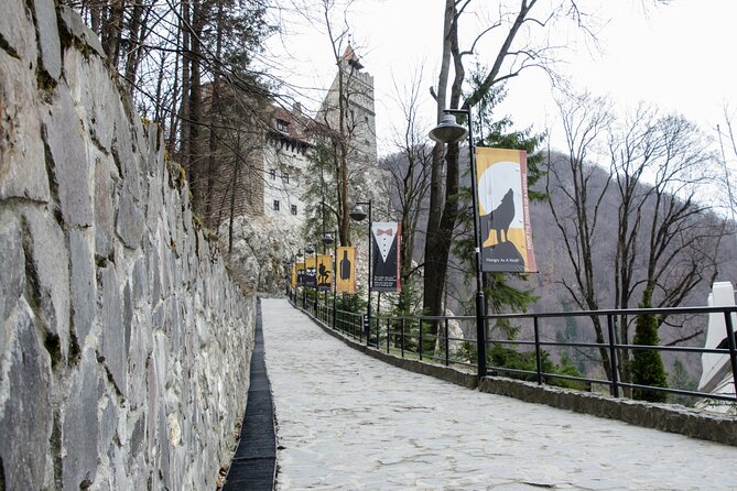 Day Trip Bear Sanctuary, Bran Castle, Rasnov Fortress from Brasov - Bran Castle and the Dracula question