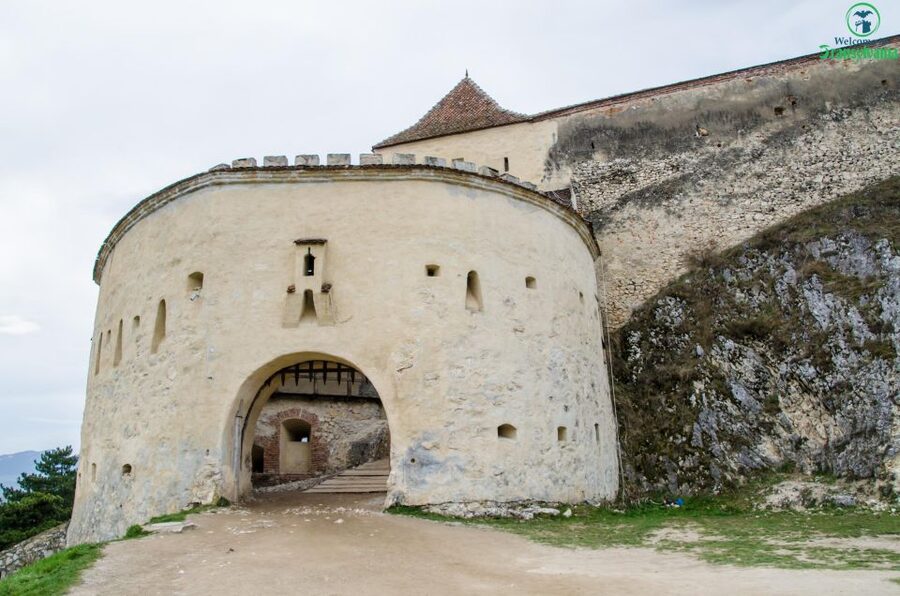 Day trip Bran Castle, Rasnov Fortress and Bear Sanctuary - What the guide adds to the day