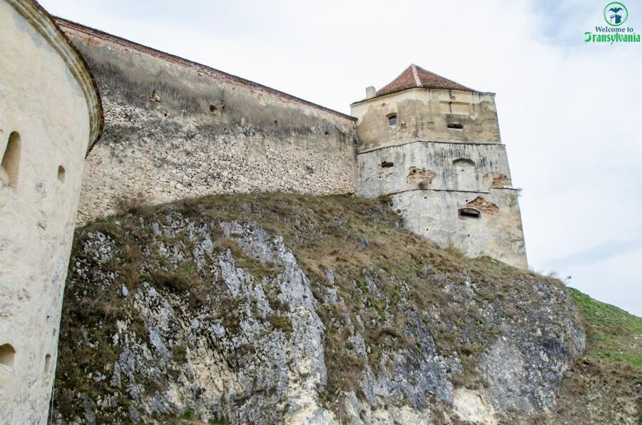 Day trip Bran Castle, Rasnov Fortress and Bear Sanctuary - Is $49 good value?