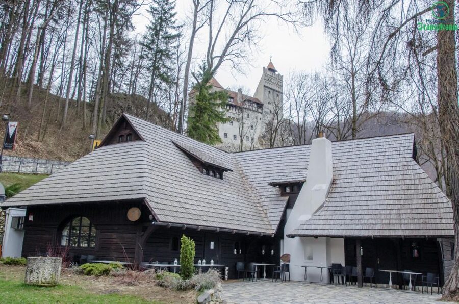 Day trip Bran Castle, Rasnov Fortress and Bear Sanctuary - Who will enjoy this tour most?